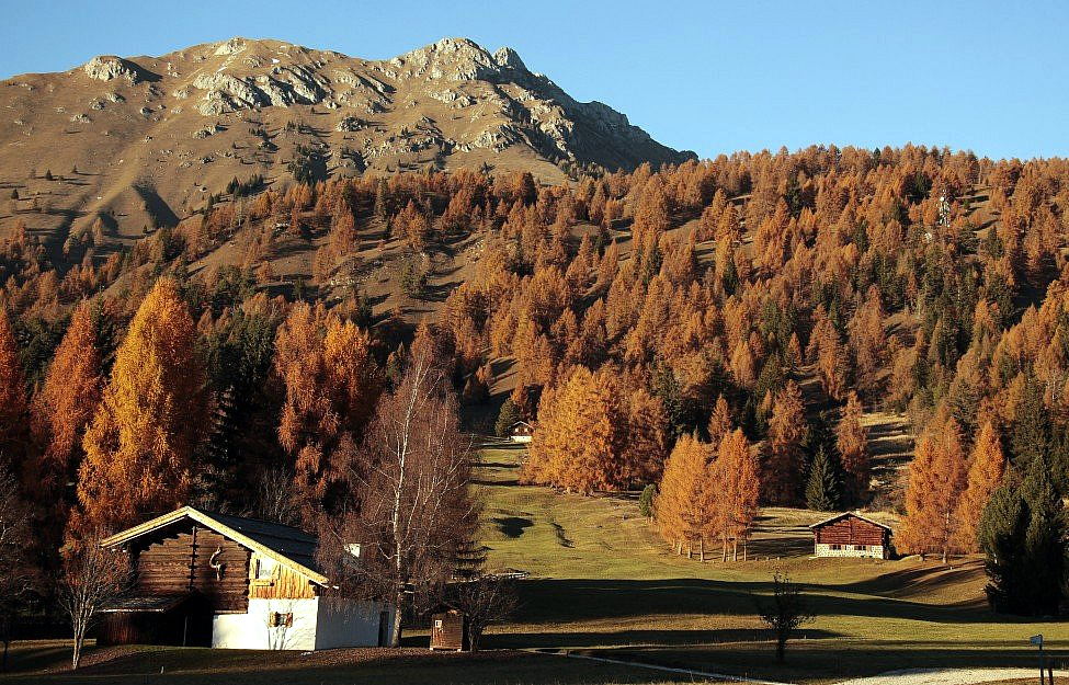 Bellamonte in Val di Fiemme