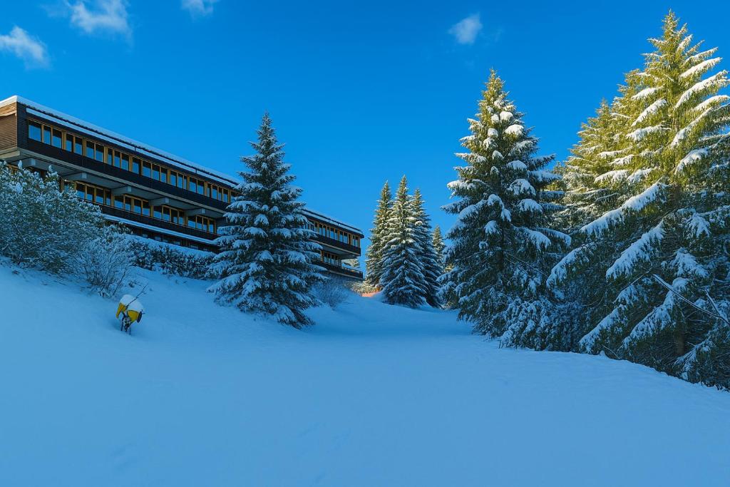 Residence Abete (Ig) Mezzana Marilleva