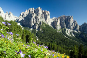 estate in val di sole