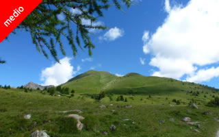 Monte Tonale Orientale